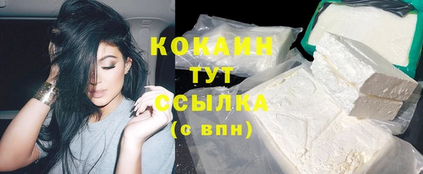 mix Ельня