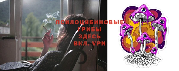 mix Ельня