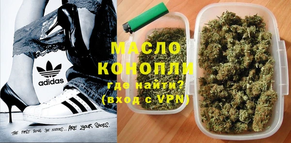 дмт Елабуга