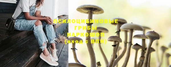 дмт Елабуга