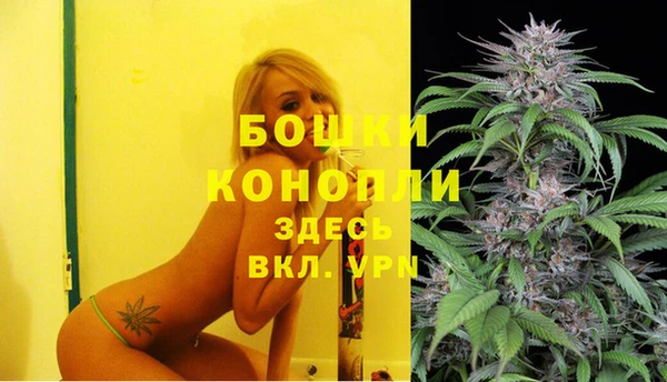 mix Ельня
