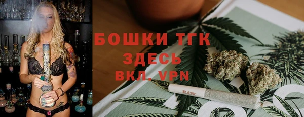 дмт Елабуга
