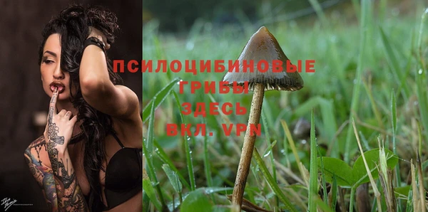 mix Ельня