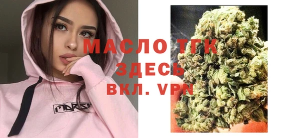 mix Ельня