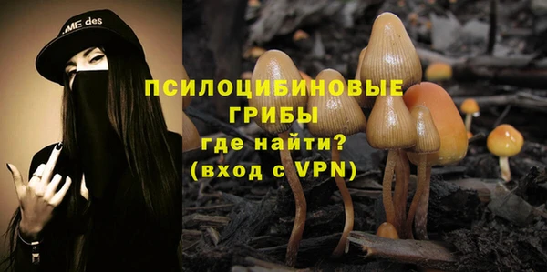дмт Елабуга