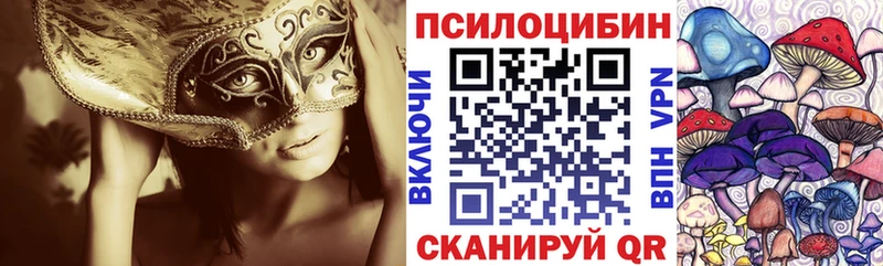 Купить где Рудня Галлюциногенные грибы Psilocybine cubensis