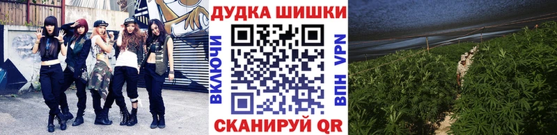 Купить закладки  Рудня  МАРИХУАНА OG Kush 
